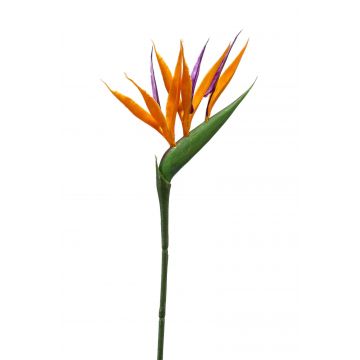 Umělá květina strelícia ZETKIN, oranžovo-fialová, 65cm, 10x13cm