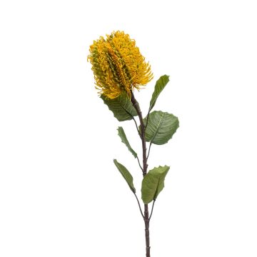 Umělá květina Banksia CONAKIR, žlutá, 55cm