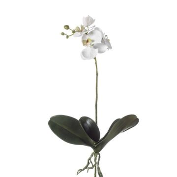 Umělá orchidej Phalaenopsis FAO na tyčce, bílá, 45cm