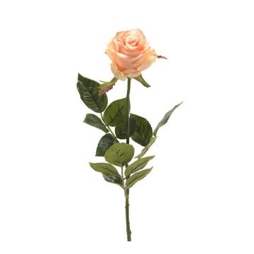 Umělá růže BRINA, krémově růžová, 70cm, Ø9cm
