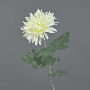 Umělá chryzantéma KAMPAL, bílá, 70cm