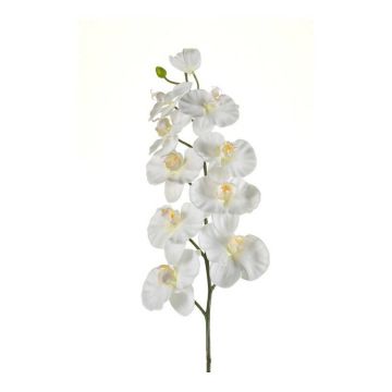 Plastová větev orchideje Phalaenopsis ANAT, krémová, 100cm
