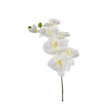 Plastová větev orchideje Phalaenopsis BASTET, bílá, 80cm