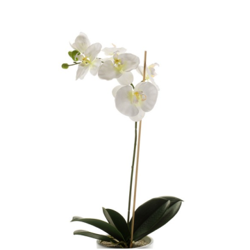 Art Phalaenopsis Orchid ISIS, tyčinka, bílá, 60 cm