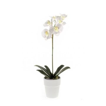 Art Phalaenopsis Orchid ISIS, keramický hrnec, bílý, 55 cm