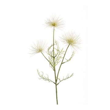 Umělá květinová chryzantéma HARARE, krémová, 65cm, Ø9-12cm