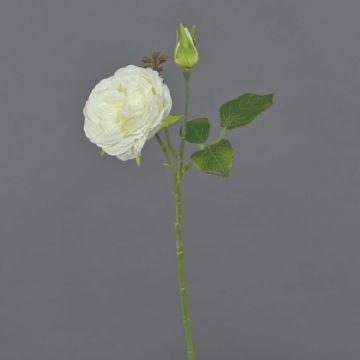 Plastová růžice CESCA, krémová, 40cm, Ø9cm
