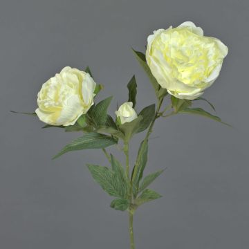 Umělá pivoňka MISTI, krémová, 70cm, Ø8-12cm