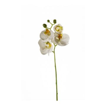 Umělá větev orchideje Phalaenopsis MINA, bílá, 55cm