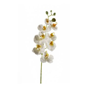 Umělá větev orchideje Phalaenopsis MINA, bílá, 70cm