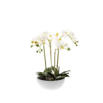 Umělá orchidej phalaenopsis MINA v keramickém květináči, bílá, 60cm