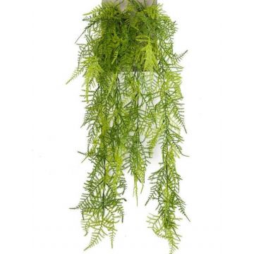Věšák Art Asparagus plumosus COLE, tyčinka, 80cm