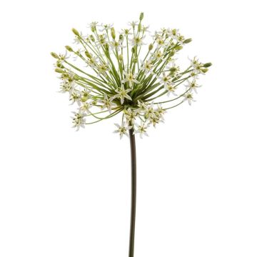 Umělé Allium BRAIS, bílé, 90cm, Ø20cm