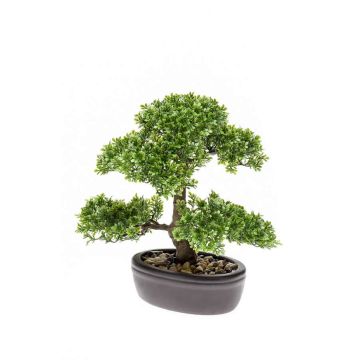 Umělý bonsai Ficus HESPER v misce, 30cm