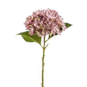 Umělá hortenzie EGIA, růžová, 50cm, Ø15cm