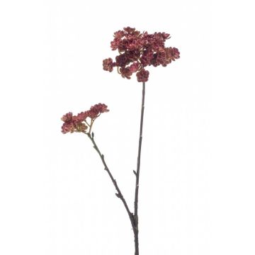 Umělá rostlina větev Echeveria KALUPA, vínově červená, 50cm