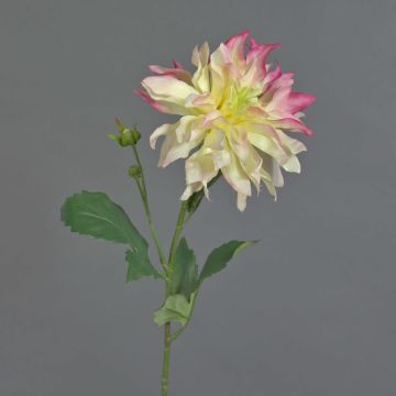 Umělá květina Dahlia CINTHIA, růžovo-bílá, 60cm, Ø16cm