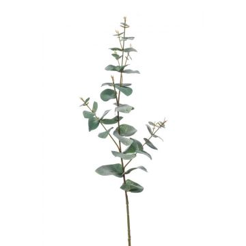 Plastová eukalyptová větev CALLIOPE, zelenošedá, 70 cm