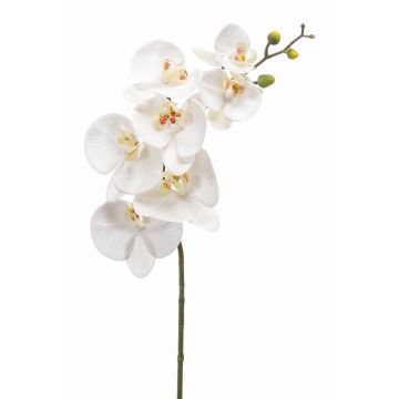 Umělá větev orchideje Phalaenopsis NEITH, bílá, 85cm