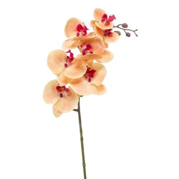 Umělá větev orchideje phalaenopsis NEITH, oranžovo-růžová, 85cm