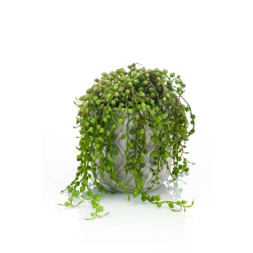 Umělá rostlina Senecio PIURA v cementovém květináči, zelená, 15cm