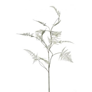 Plastová větev Asparagus plumosus ANTOA, 125 cm