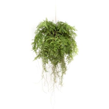 Umělá bostonská kapradina NILO, k zavěšení, v zemině, kořeny, 75cm, Ø55cm