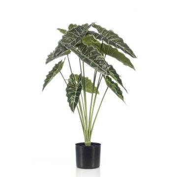 Umělá Alocasia Sanderiana FIORELLA, zelená, 80cm