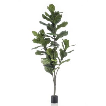 Umělý Ficus Lyrata ENRIKO, umělý stonek, zelený, 150 cm