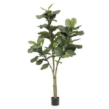Umělý Ficus Lyrata ENRIKO, umělý stonek, zelený, 180 cm