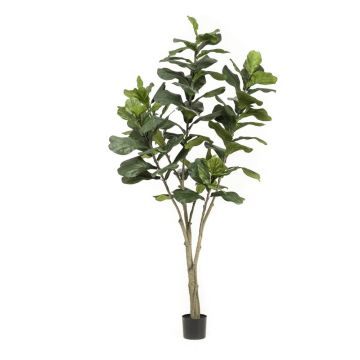 Umělá Ficus Lyrata ENRIKO, umělá stonka, zelená, 210 cm