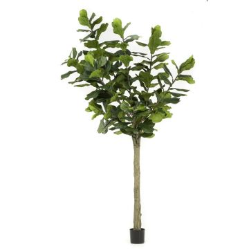 Umělá Ficus Lyrata ENRIKO, umělá stonka, zelená, 300 cm