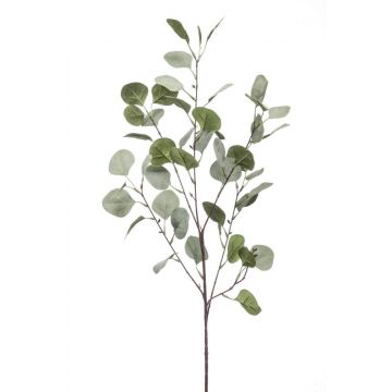 Umělá větev eukalyptu COLTON, zelenošedá, 85cm