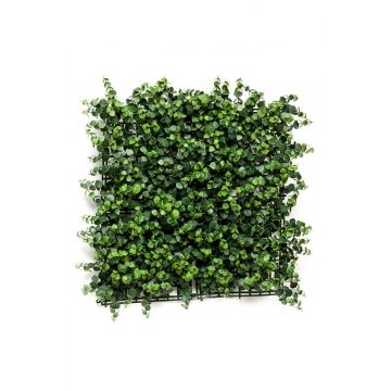 Umělý živý plot / podložka z eukalyptu JASE, crossdoor, zelená, 50x50cm