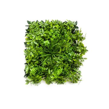 Art Schefflera travní rohož ENZIO, crossdoor, zelená, 50x50cm