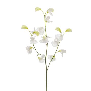 Umělá květina hrachor VICENZO, krémová, 65cm, Ø3-5cm