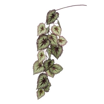 Umělá listová begonie MEIRA, zeleno-fialová, 110cm