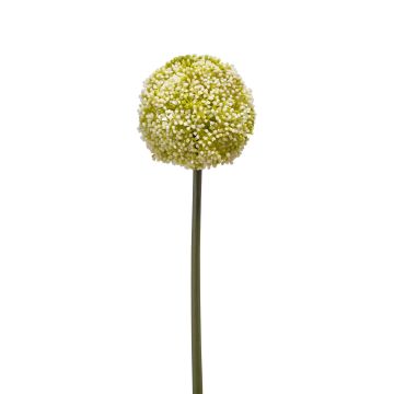 Plast Allium BOUTROS, bílo-zelený, 75cm, Ø9cm