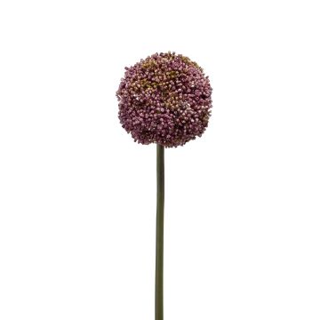 Plast Allium BOUTROS, fialový, 75cm, Ø9cm