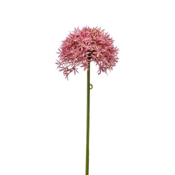 Umělé Allium ARNAU, růžové, 60cm, Ø10cm
