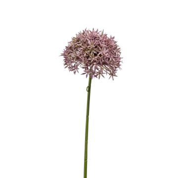 Umělé Allium ARNAU, růžové, 60cm, Ø10cm