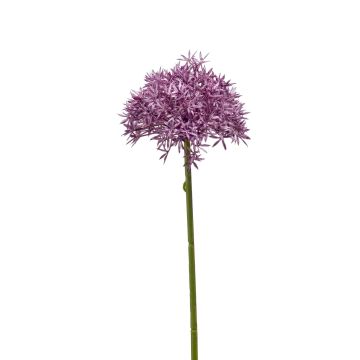 Umělé Allium ARNAU, fialové, 60cm, Ø10cm