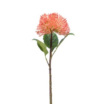 Plastový květ Sedum JICAMA, růžový, 45cm