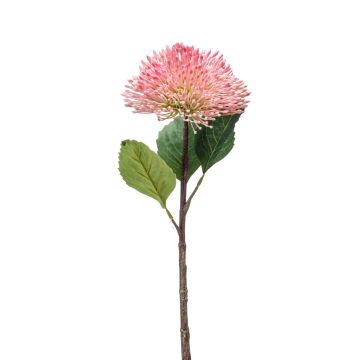 Plastový květ Sedum JICAMA, růžovo-bílý, 45cm