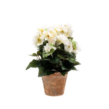 Umělá begonia DOBRADA v terakotovém květináči, krémová, 25cm, Ø8-10cm