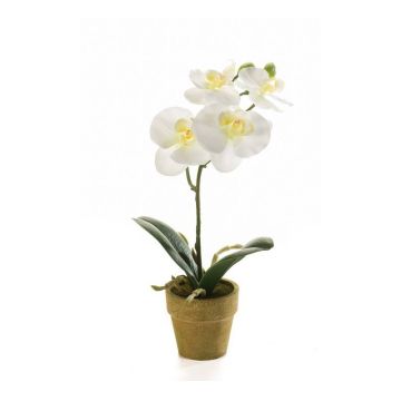 Umělá orchidej phalaenopsis SETH v dekorativním květináči, krémová, 25cm