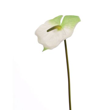 Textilní květina plameňák MOIRA, bílo-zelená, 75cm, 13x20cm