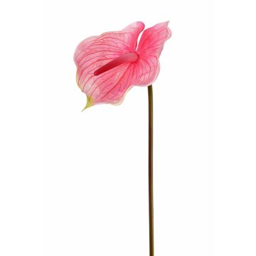 Textilní květina plameňák MOIRA, růžová, 75cm, 13x20cm