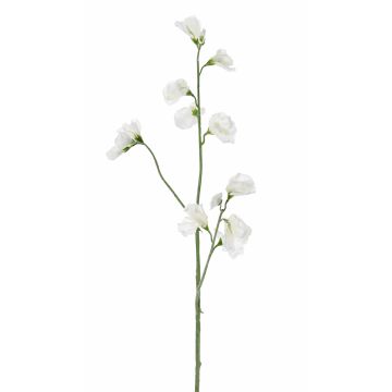 Umělá květina Lathyrus ASFALOTH, bílá, 65cm