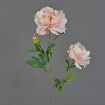 Textilní květina pivoňka ONYX, krémově růžová, 70cm, Ø10-13cm